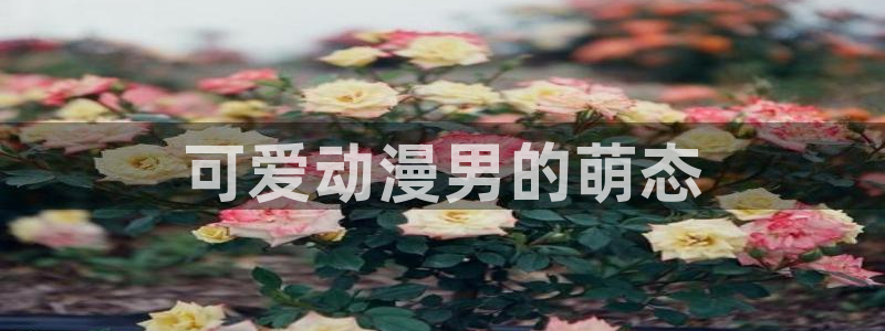 樱花动漫动漫星空：可爱动漫男的萌态