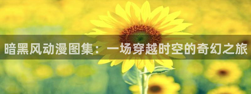 樱花动漫(p)_：暗黑风动漫图集：一场穿越时空的奇幻之旅